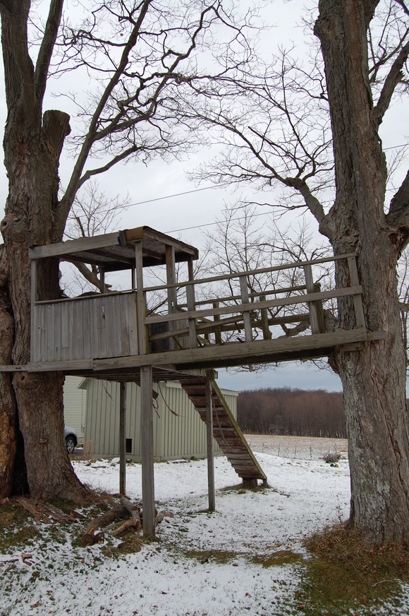 f0233815_641992.jpg