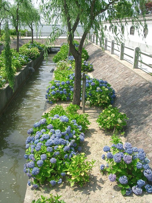 燕趙園（鳥取県東伯郡湯梨浜町）_c0219820_15204210.jpg