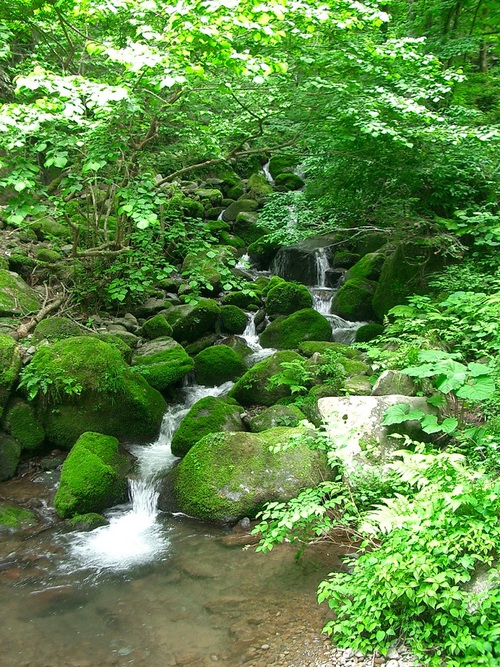 c0219820_16152559.jpg