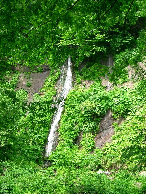 c0219820_16153842.jpg