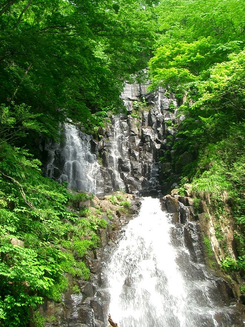 c0219820_16154544.jpg
