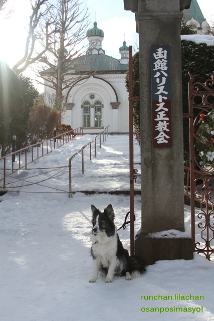 IN 北海道_b0192121_17423089.jpg