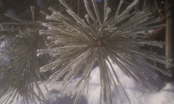 e0227023_1033113.jpg