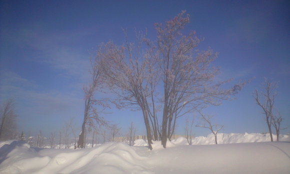 e0227023_10352219.jpg