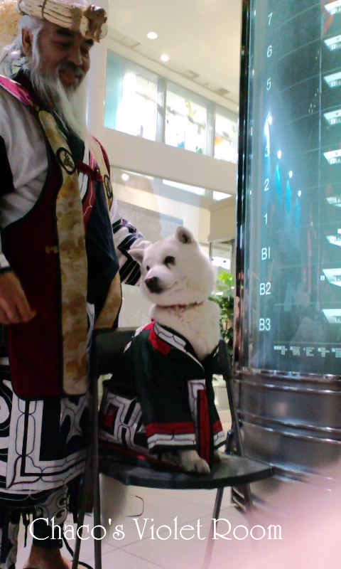 e0245625_9311414.png