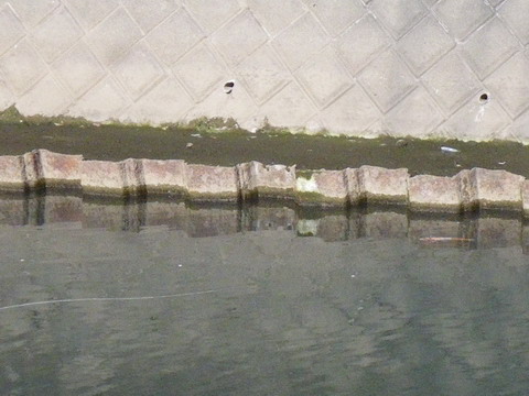 c0202727_23202115.jpg