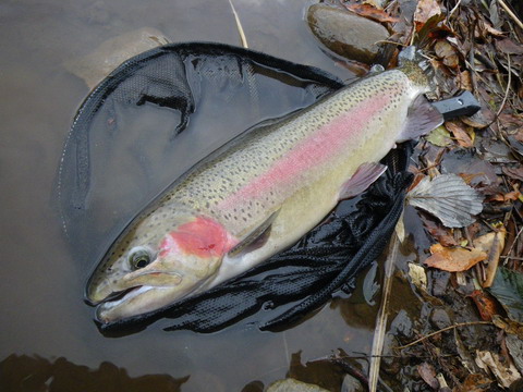 c0202727_23385553.jpg