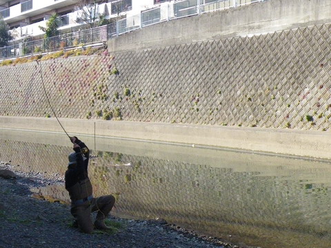 c0202727_23445241.jpg