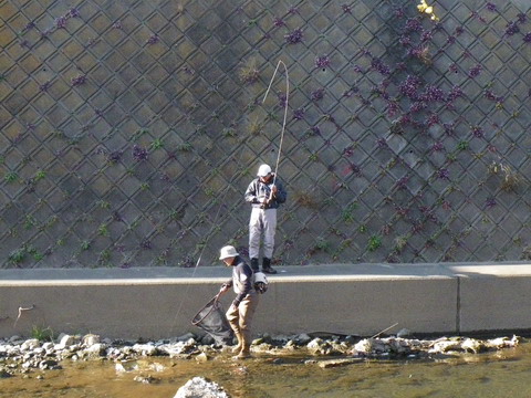 c0202727_23554479.jpg