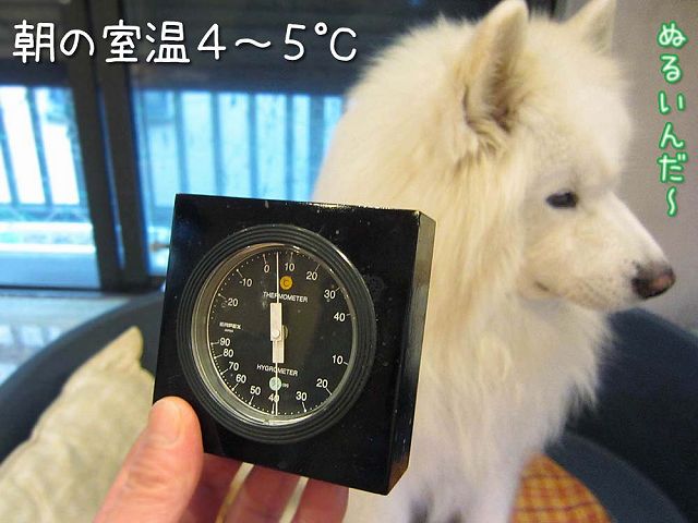土曜日のお散歩_c0062832_6163325.jpg