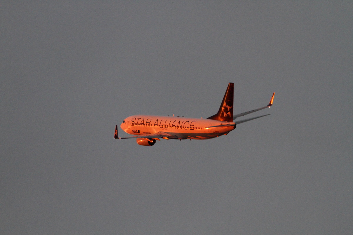 c0169436_05639.jpg