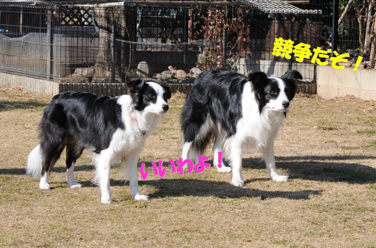 c0147241_12251928.jpg
