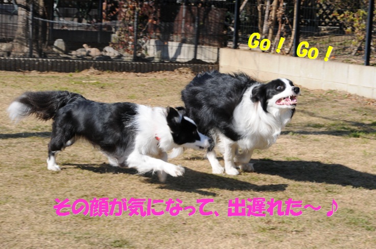 c0147241_12252845.jpg