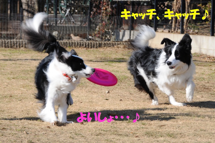c0147241_1225644.jpg