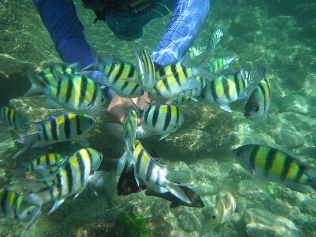 d0222641_2082814.jpg