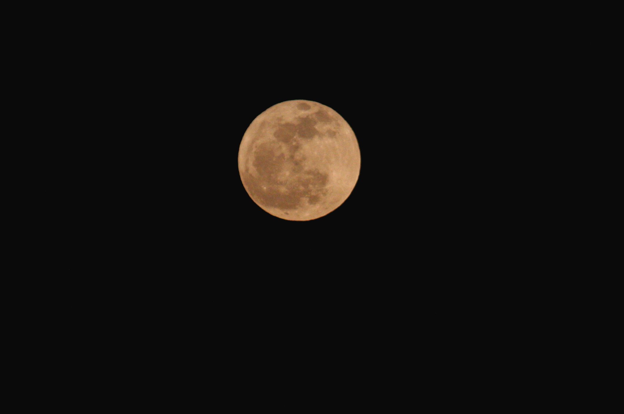 a0133142_1952824.jpg