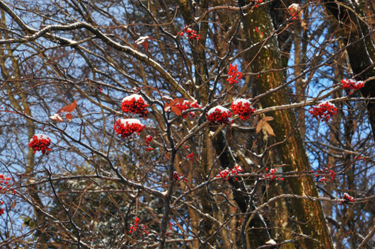c0093046_7284637.jpg