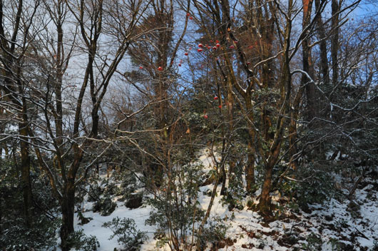 c0093046_729716.jpg