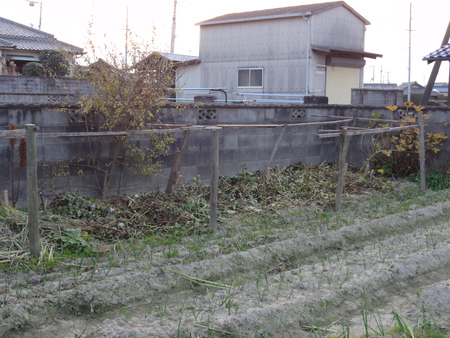c0108460_1647166.jpg