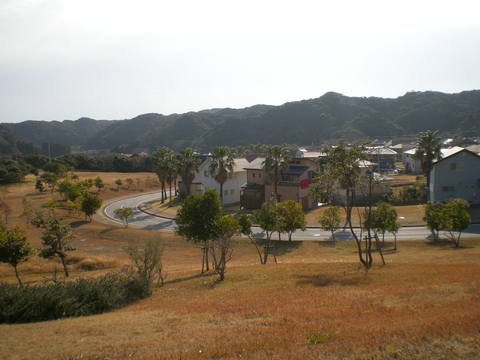 2012年1月9日(月)お散歩も絶好調!_f0060461_12154325.jpg
