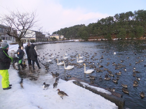 五十公野（いじみの）公園の雪遊び_a0215163_20294193.jpg