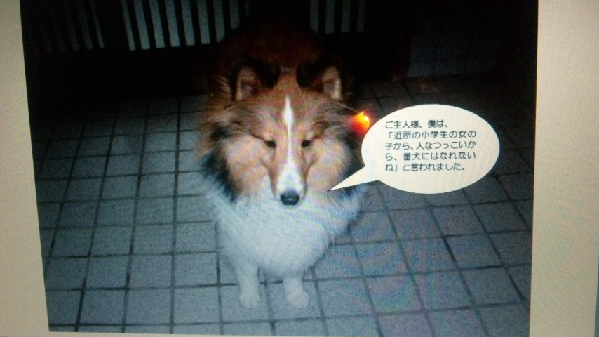お写真_f0126965_1654870.jpg