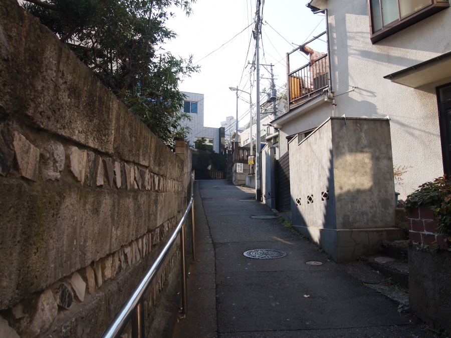 豊坂稲荷神社 (豊島区目白3丁目)_e0163471_1914330.jpg