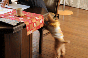 c0196673_1719792.gif