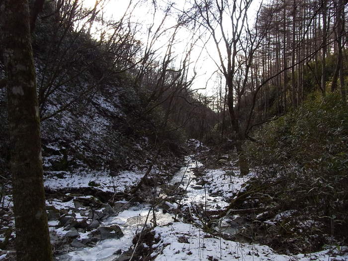 2012.1.8 大菩薩連嶺South （金山鉱泉-雁ヶ腹摺山-やまと天目山温泉）_b0219778_2040470.jpg