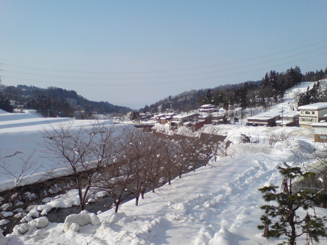 晴れて気持ちのいい1日でした。_d0182179_16174789.jpg