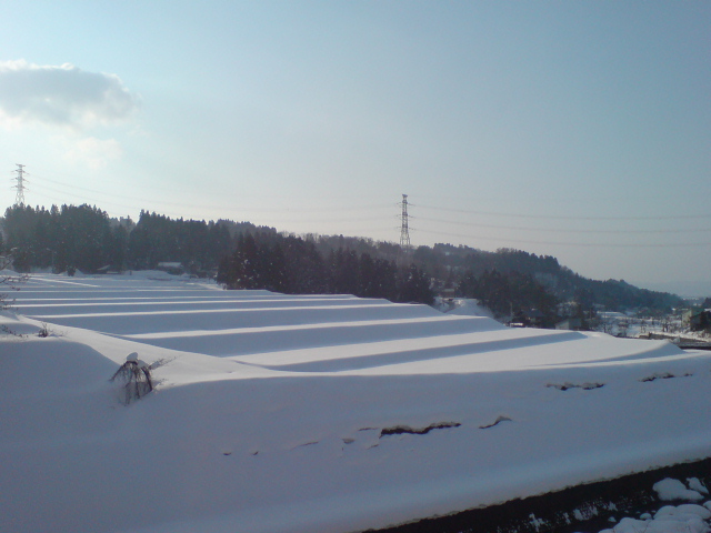 晴れて気持ちのいい1日でした。_d0182179_1618423.jpg