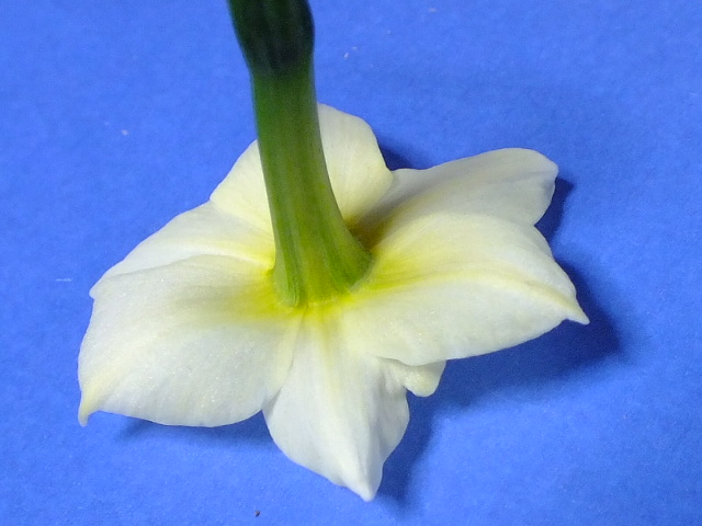 e0145782_11163223.jpg