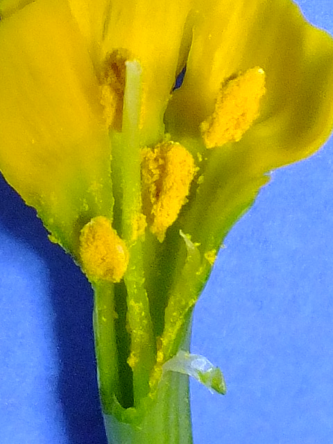e0145782_11182838.jpg