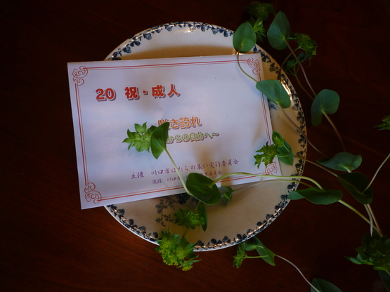 祝☆成人_a0225587_9172617.jpg