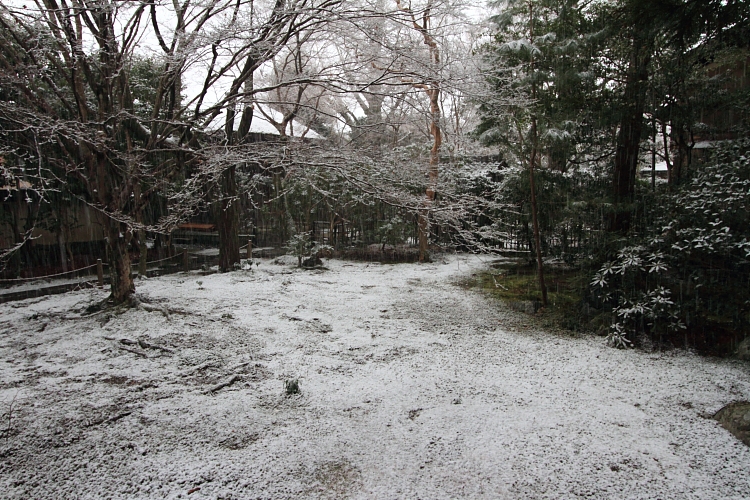 蓮華寺_e0051888_21332012.jpg