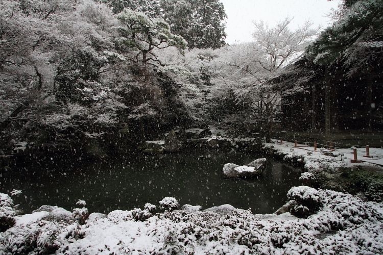 蓮華寺_e0051888_21345693.jpg