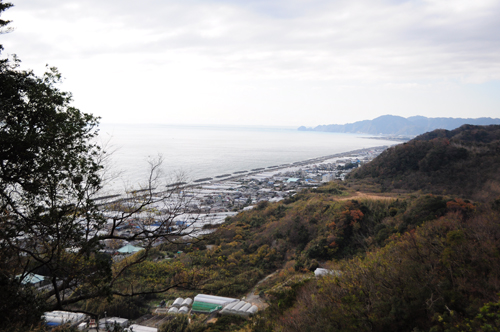 神社巡り＠静岡＊後編_e0244492_22474596.jpg