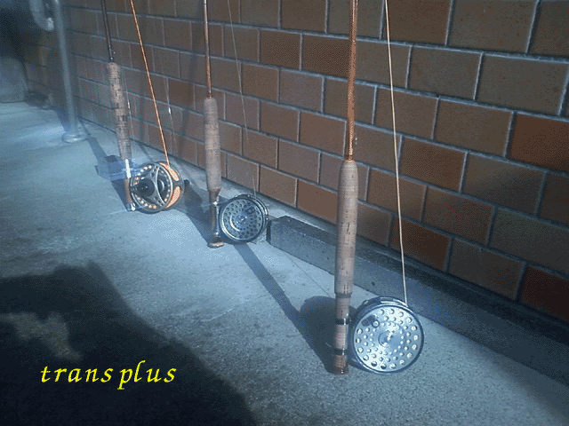 b0031493_19575525.gif