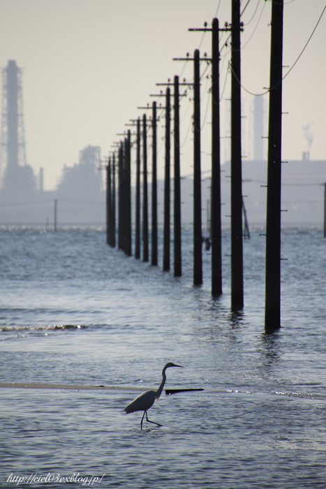 海へ続く電柱_b0203695_2353525.jpg