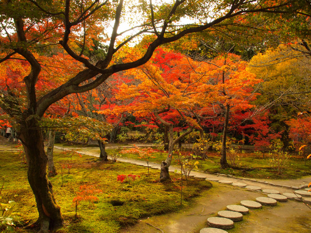 紅葉旅　－　勧修寺_b0203596_191162.jpg