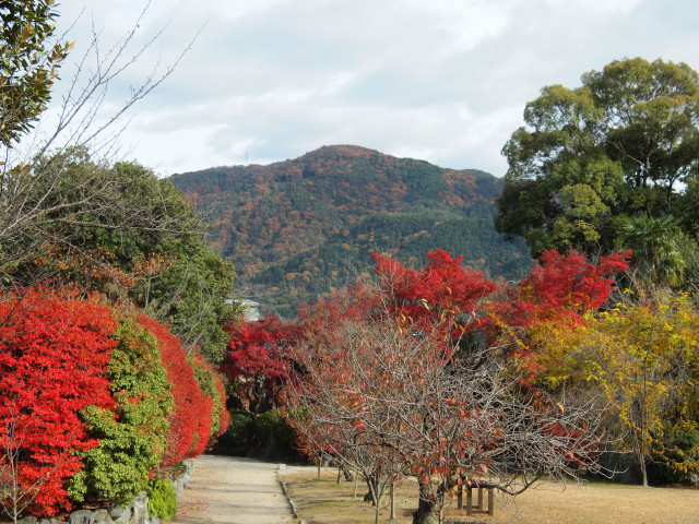 紅葉旅　－　勧修寺_b0203596_19183337.jpg