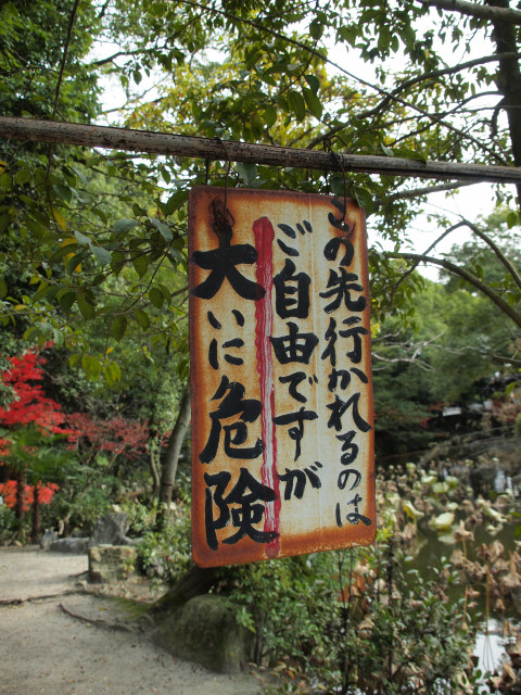 紅葉旅　－　勧修寺_b0203596_22484843.jpg