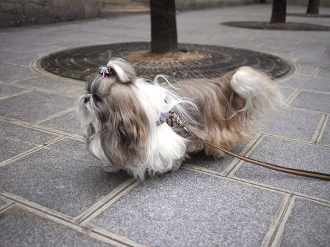 c0090198_325420.jpg