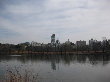 a0224502_17125086.jpg