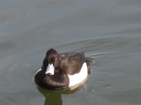 a0224502_17144919.jpg