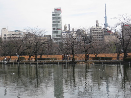 a0224502_17153959.jpg