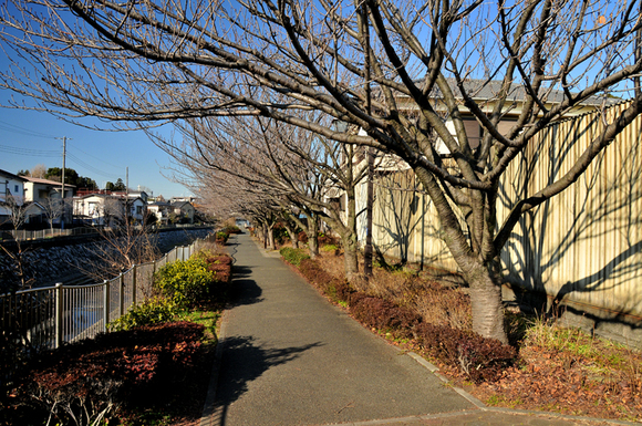 a0248908_115429.jpg
