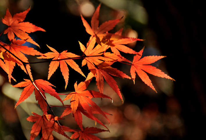 a0248908_2211211.jpg
