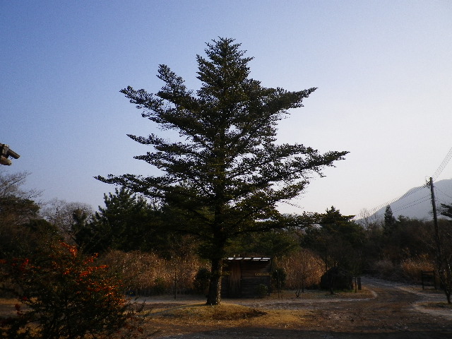 e0179508_9124990.jpg