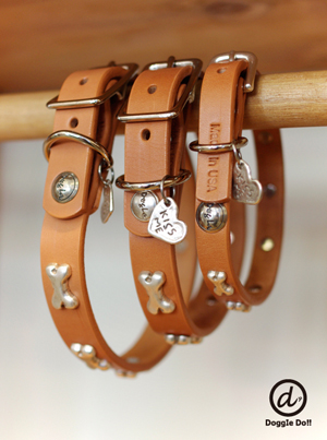 DOGLA NEW COLLAR  “TAN”_a0072609_172138.jpg